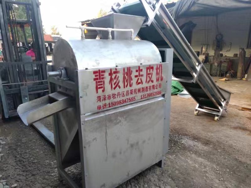 核桃清洗機(jī)